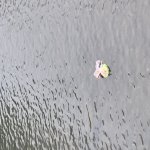 phoca_thumb_m_s.k.  2 Fotogalerie